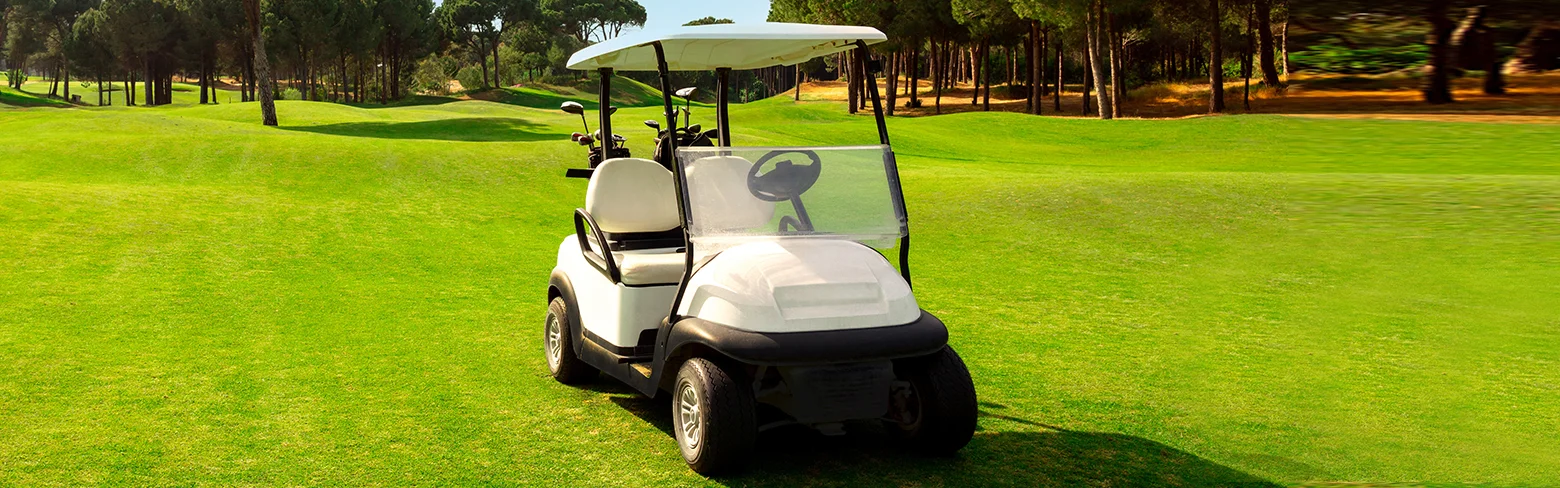 골프 카트